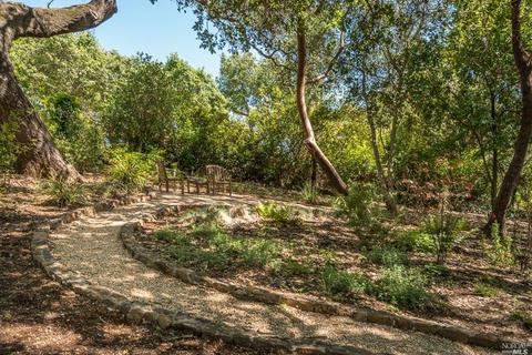 1682 Ridge Rd, Sonoma, CA 95476 photo 44