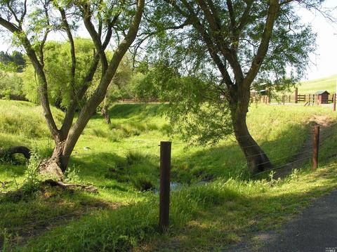 2030 Fallon Rd, Petaluma, CA 94952 photo 19