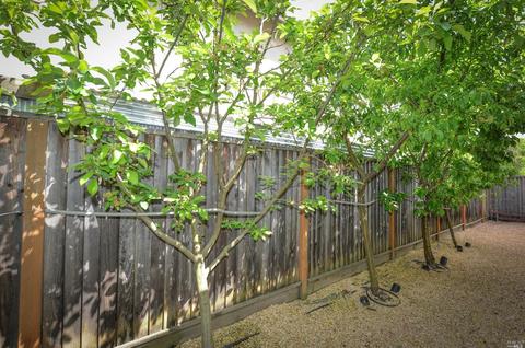 154 Sage Way, Napa, CA 94559 photo 40