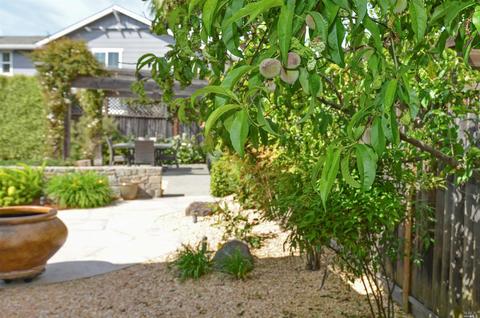 154 Sage Way, Napa, CA 94559 photo 42