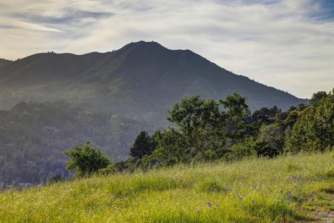 4 Via Van Dyke, Mill Valley, CA 94941 photo 45