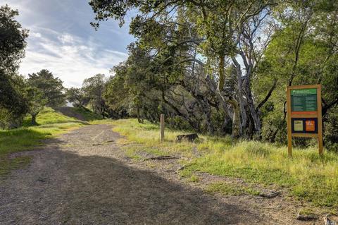 4 Via Van Dyke, Mill Valley, CA 94941 photo 43