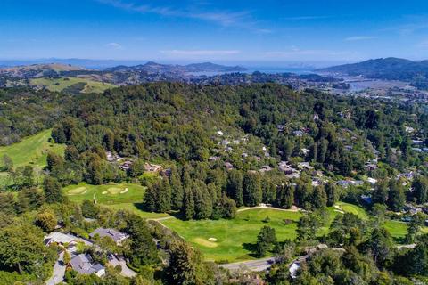 4 Via Van Dyke, Mill Valley, CA 94941 photo 42