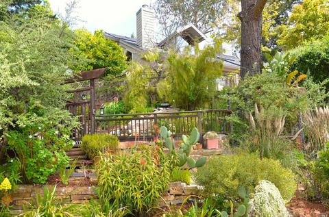 1010 Melaleuca Ln, Mill Valley, CA 94941 photo 29