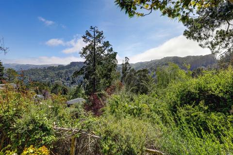 1010 Melaleuca Ln, Mill Valley, CA 94941 photo 12