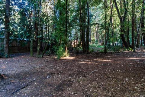 24177 Birch Cir, Willits, CA 95490 photo 18
