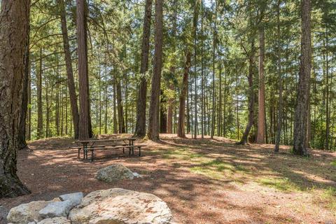 1215 Las Posadas Rd, Angwin, CA 94508 photo 33