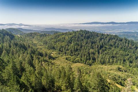 1215 Las Posadas Rd, Angwin, CA 94508 photo 47