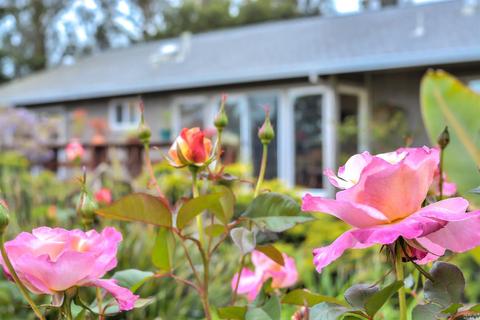 554 King Rd, Petaluma, CA 94952 photo 25