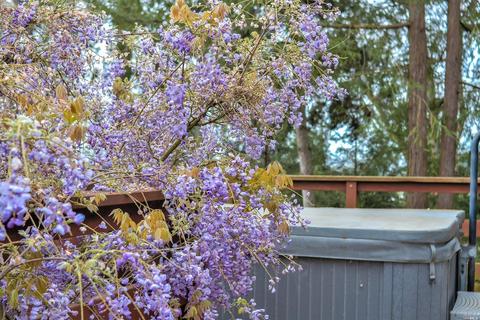 554 King Rd, Petaluma, CA 94952 photo 20