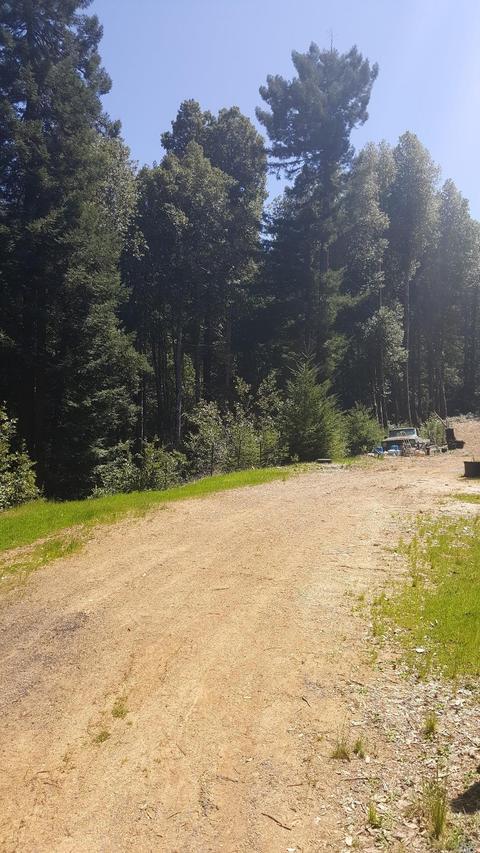 20525 Timber Rd, Willits, CA 95490 photo 17