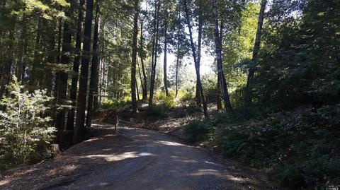 20525 Timber Rd, Willits, CA 95490 photo 19