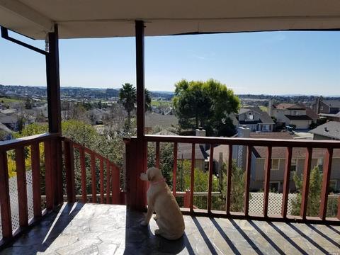 305 Cotta Way, Vallejo, CA 94589 photo 12