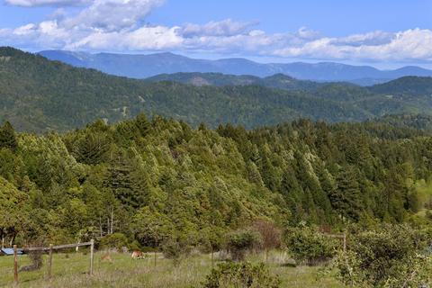 7250 Third Gate Rd, Willits, CA 95490 photo 40