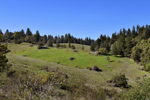 7250 Third Gate Rd, Willits, CA 95490 photo 42