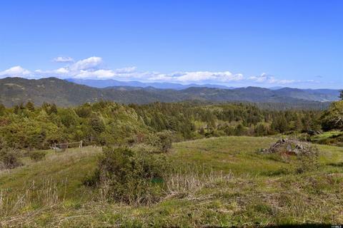 7250 Third Gate Rd, Willits, CA 95490 photo 32