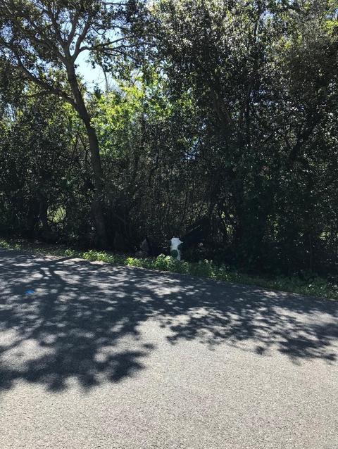 1244 Taylor Ave, Vallejo, CA 94591 photo 1