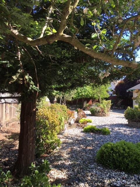 244 Sandy Neck Way, Vallejo, CA 94591 photo 24
