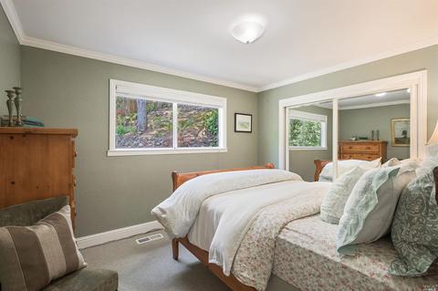 28 Spring Ln, Fairfax, CA 94930 photo 22