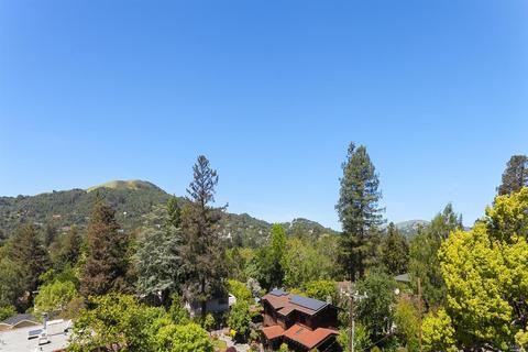 17 Garden Rd, Ross, CA 94957 photo 17