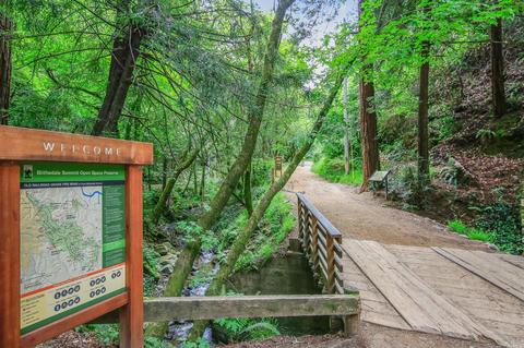 255 Ralston Ave, Mill Valley, CA 94941 photo 43