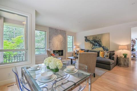 255 Ralston Ave, Mill Valley, CA 94941 photo 4