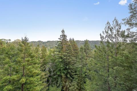 255 Ralston Ave, Mill Valley, CA 94941 photo 42