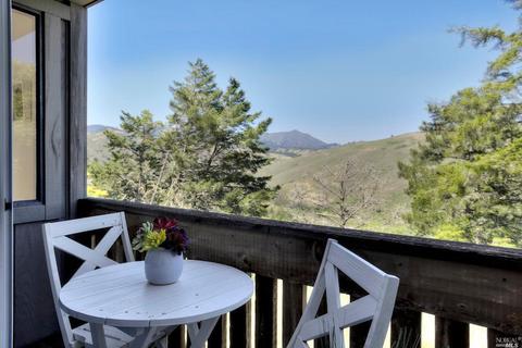 43 Starbuck Dr, Muir Beach, CA 94965 photo 20