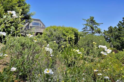 43 Starbuck Dr, Muir Beach, CA 94965 photo 28
