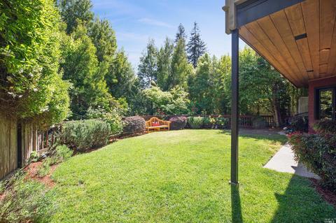 48 Coronet Ave, Mill Valley, CA 94941 photo 39