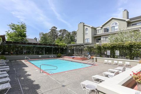 63 Eucalyptus Knoll St, Mill Valley, CA 94941 photo 16