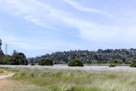 63 Eucalyptus Knoll St, Mill Valley, CA 94941 photo 17