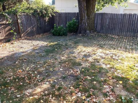 362 Boscabelle Ave, Willits, CA 95490 photo 22