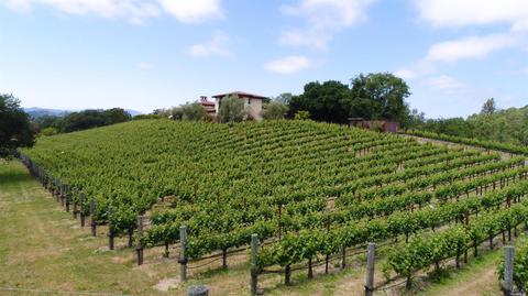 4266 E 3rd Ave, Napa, CA 94558 photo 8
