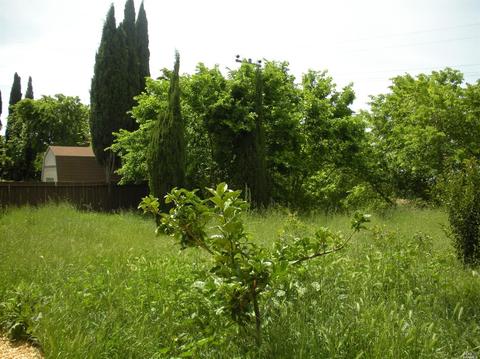 537 Swan Way, Vallejo, CA 94589 photo 29