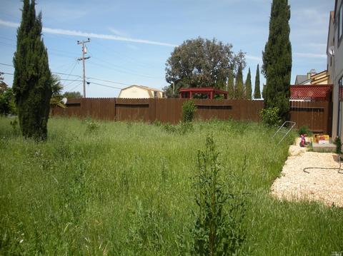 537 Swan Way, Vallejo, CA 94589 photo 25