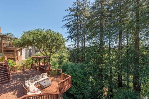 667 Sequoia Valley Rd, Mill Valley, CA 94941 photo 22