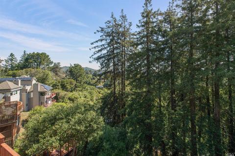 667 Sequoia Valley Rd, Mill Valley, CA 94941 photo 15