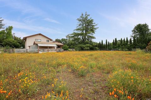 911 E Napa St, Sonoma, CA 95476 photo 2