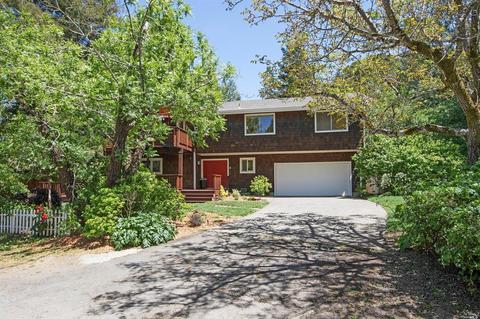 1 Cecil Rd, San Geronimo, CA 94963 photo 30