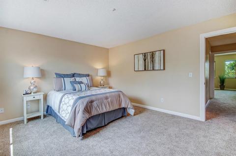 53 Vineyard Cir, Sonoma, CA 95476 photo 17