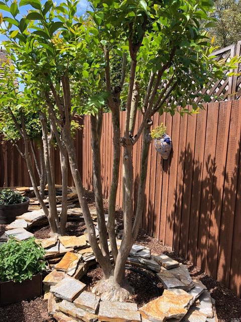 7407 14th Hole Dr, Windsor, CA 95492 photo 13