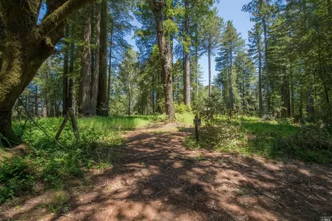 16900 Fitzpatrick Ln, Occidental, CA 95465 photo 2