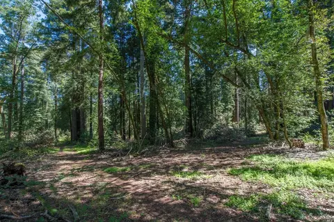 16900 Fitzpatrick Ln, Occidental, CA 95465 photo 3