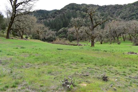 1170 Mcnab Ranch Rd, Ukiah, CA 95482 photo 15