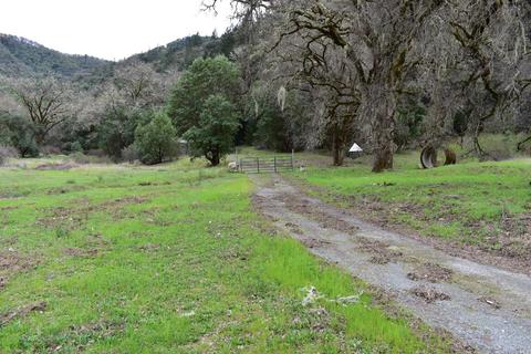 1170 Mcnab Ranch Rd, Ukiah, CA 95482 photo 3