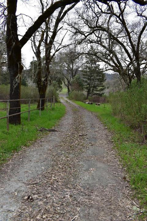 1170 Mcnab Ranch Rd, Ukiah, CA 95482 photo 18