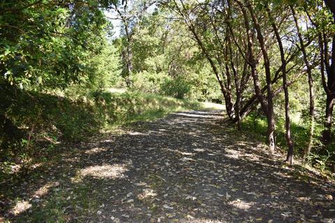 1170 Mcnab Ranch Rd, Ukiah, CA 95482 photo 10