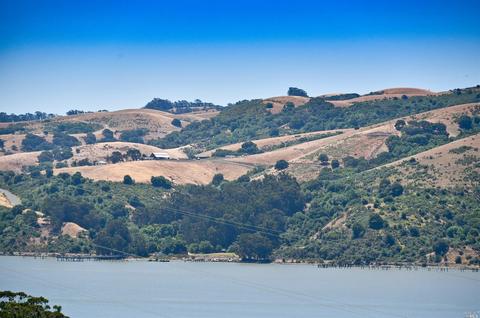 135 Chesapeake Dr, Vallejo, CA 94591 photo 34