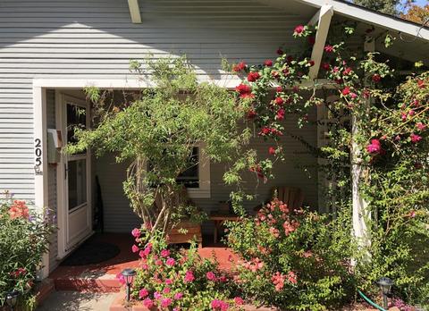 205 Dutton Ave, Sebastopol, CA 95472 photo 5